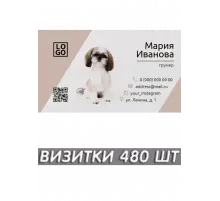 Печать визиток 480 шт